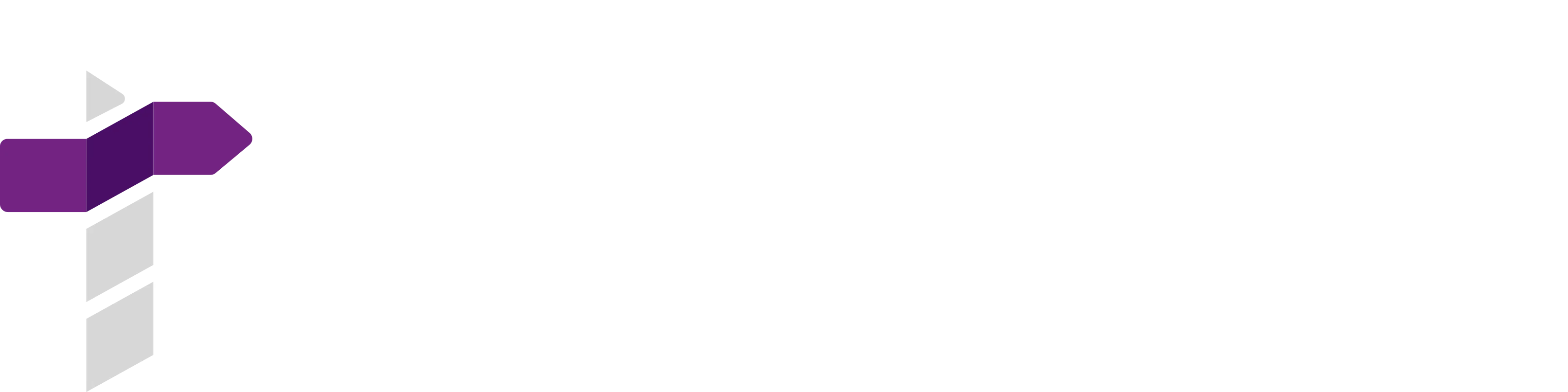 Del Bravo Tech Logo